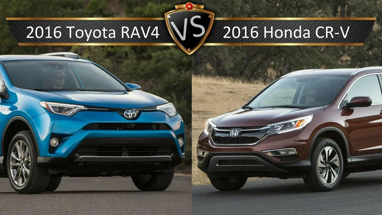 Honda CR-V vs Toyota rav4. Тойота CRV 2016. Тойота рав CRV. Honda rav4 2016. Сравнение хонда и тойота