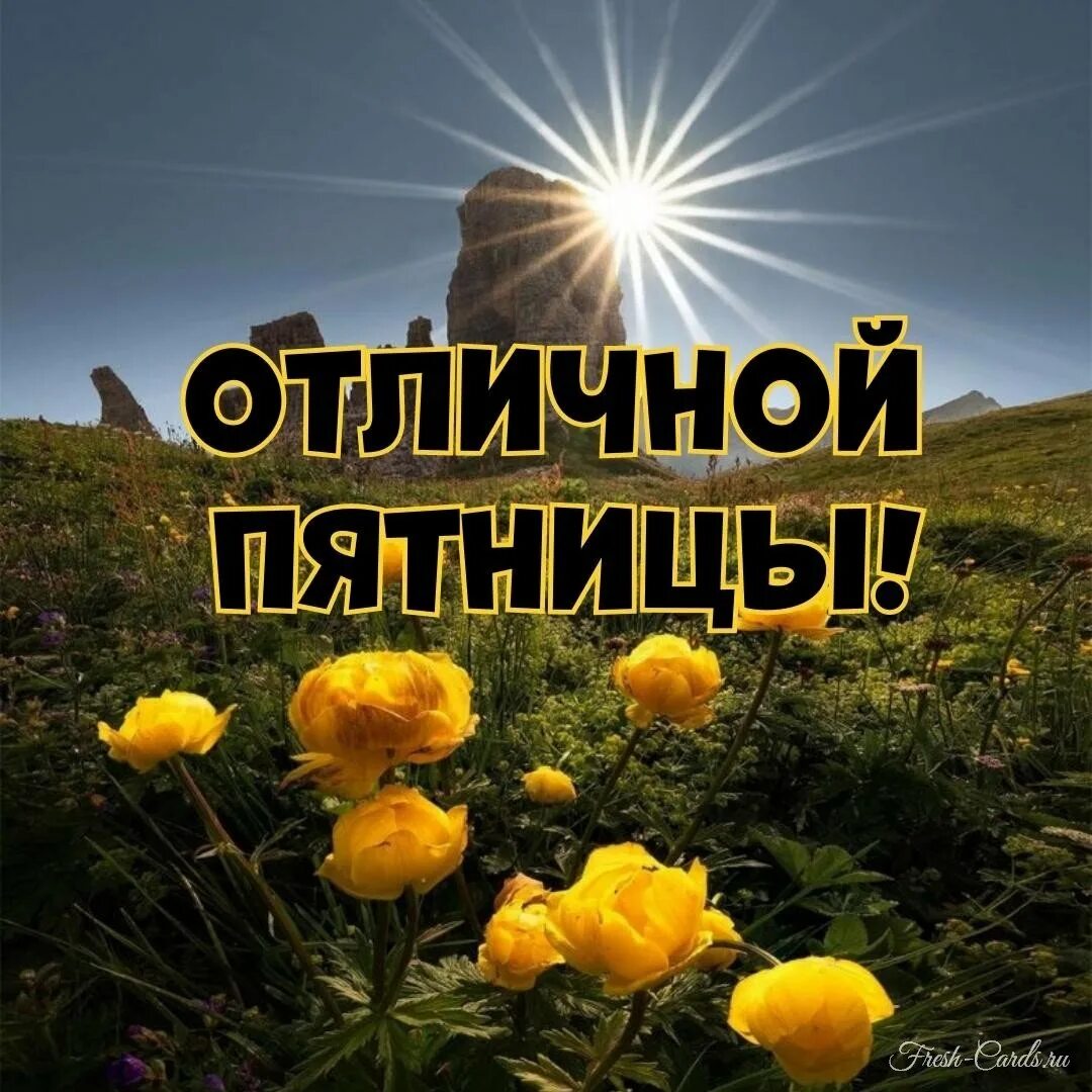С добрым летним утром мудрые пожелания. Сказочного утра пожелания. благословенного дня и хорошего настроения. необычные открытки с добрым утром. доброго благословенного утра и хорошего дня.