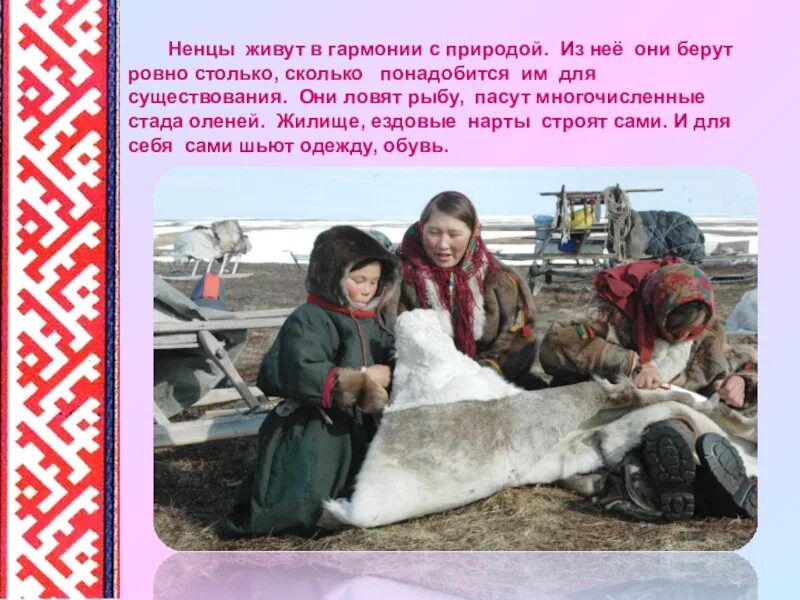 Основные занятия и особенности жизненного уклада ненцев. Ненцы презентация. ненцы живут. национальные традиции ненцев.