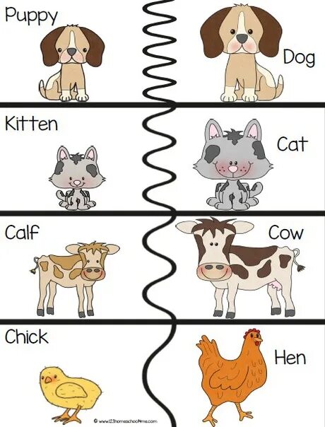 Paper duck cow. Hen dog cat. Кошка и собака без фона. Сумасшедшие коровы как утки. Hen dog cat.