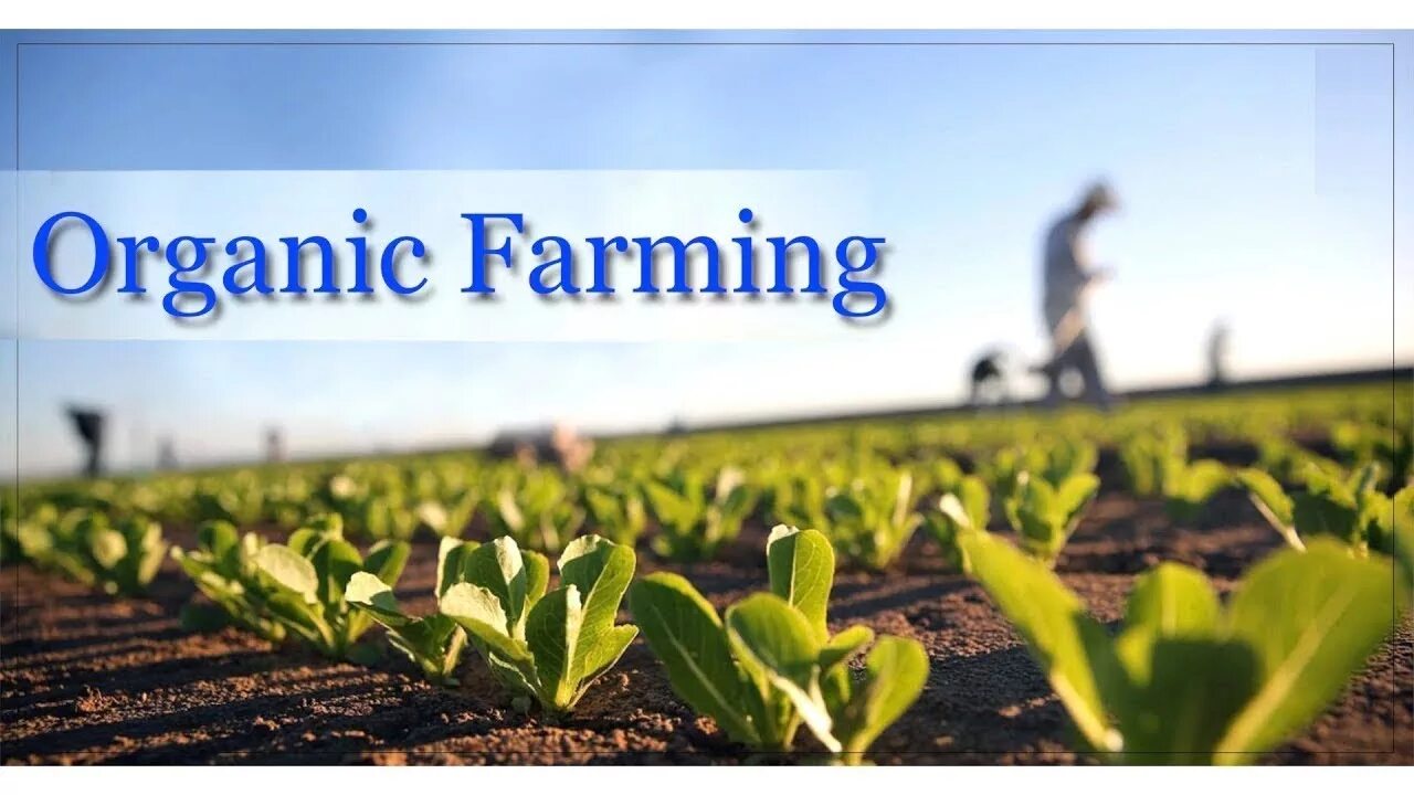Weed control in organic farming pie chart. Organic farming spotlight 10. Organic farming spotlight 10. Conventional farming vs organic farming. Organic farming.