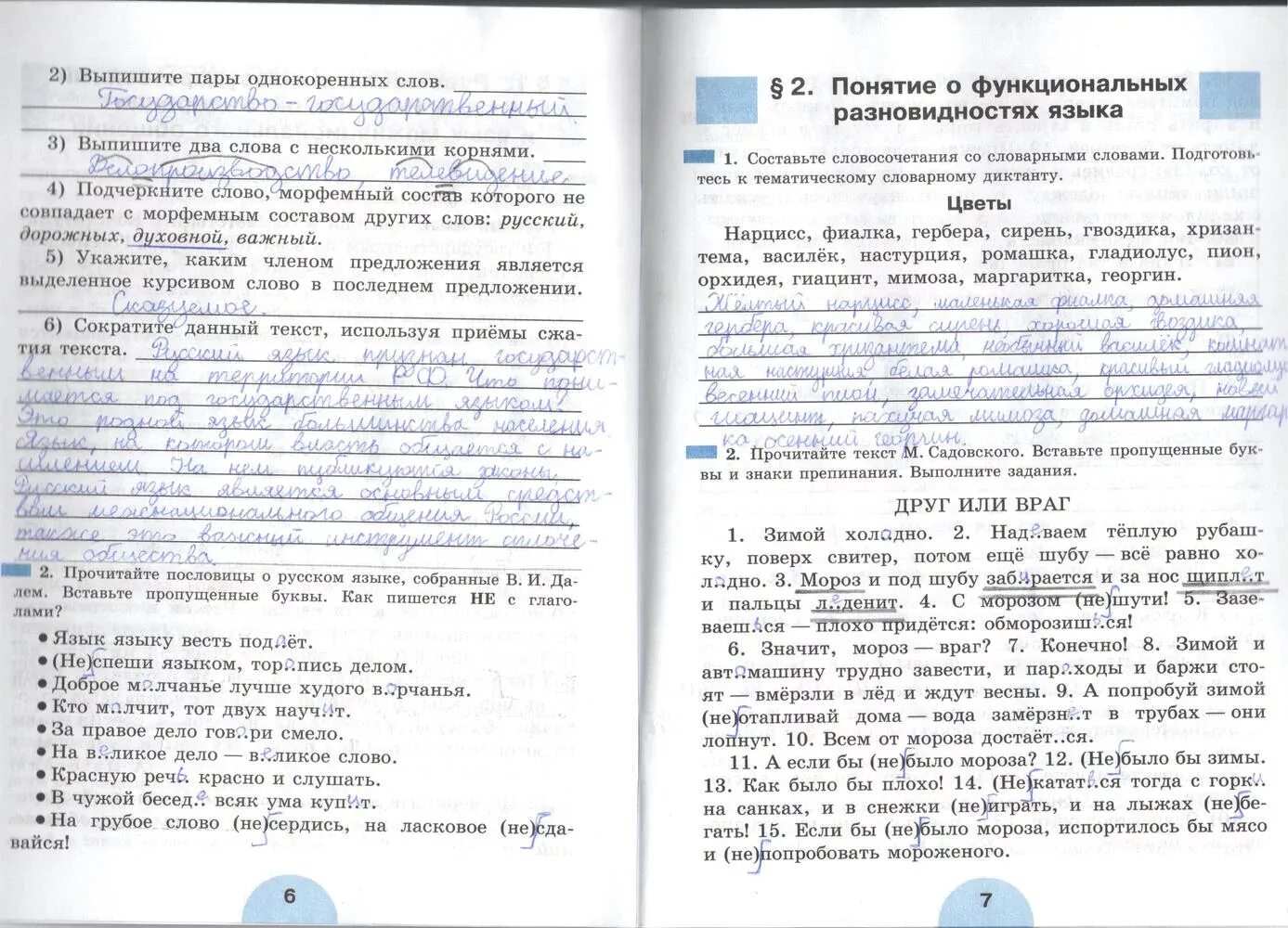рабочая тетрадь по русскому 7 класс рыбченкова. рабочая тетрадь по русскому языку 6 класс к учебнику рыбченковой. гдз по русскому 6 класс рыбченкова рабочая тетрадь. гдз по русскому 6 тетрадь рыбченкова. русский язык 6 класс рабочая тетрадь.
