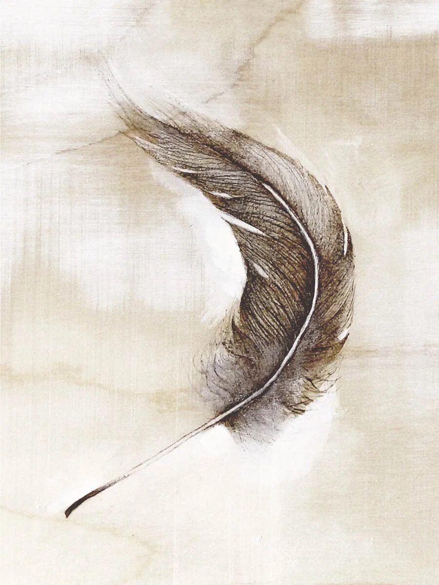 яркие перья. перо акрилом. перья птиц. перья птиц. с перьями.