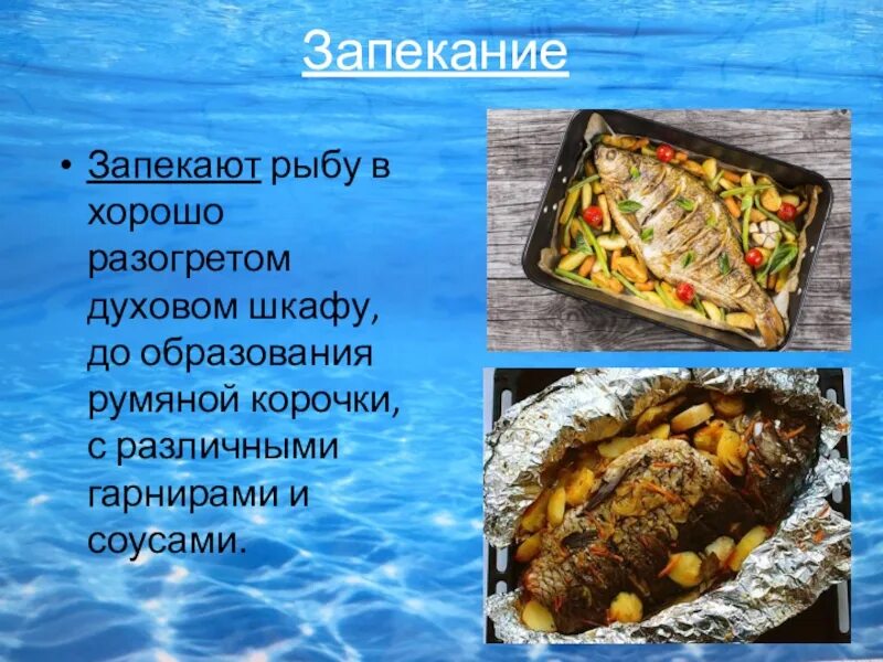 Курсовая горячее блюдо из рыбы. Приготовление блюд из рыбы и морепродуктов. Презентация на тему рыбные блюда. Презентация блюда из рыбы. Блюда из рыбы и морепродуктов презентация.