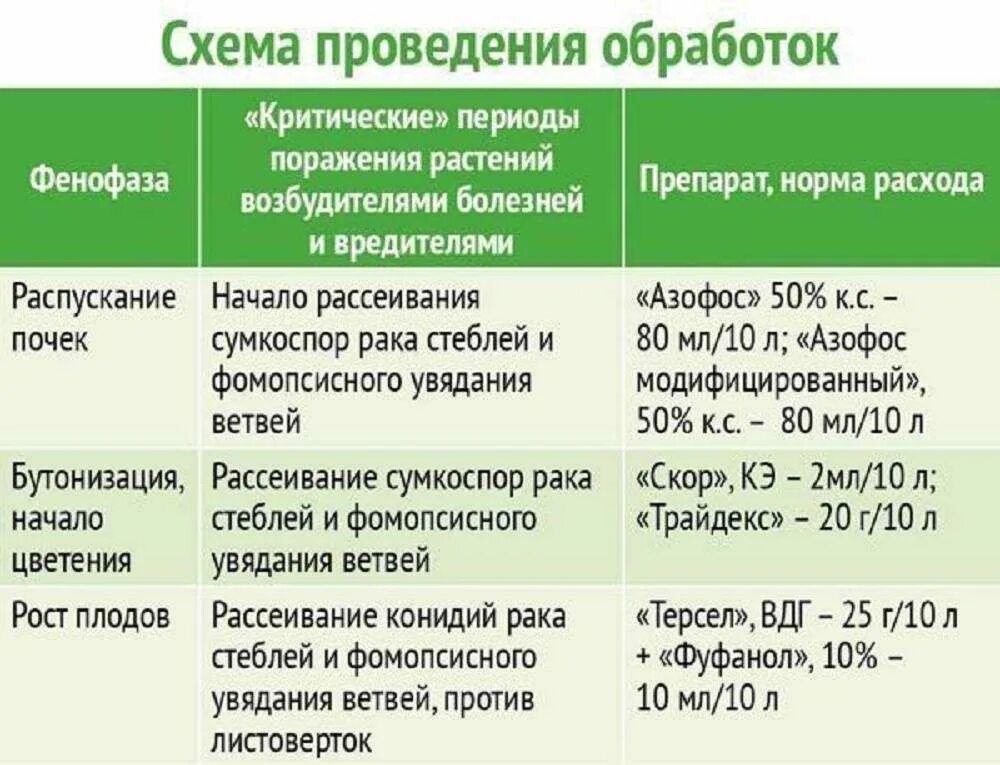 Весенняя обработка крыжовника и смородины. Препараты для обработки деревьев весной от вредителей. Обработка плодовых деревьев от вредителей и болезней. Схема обработки деревьев весной. Схема обработки сада от вредителей.