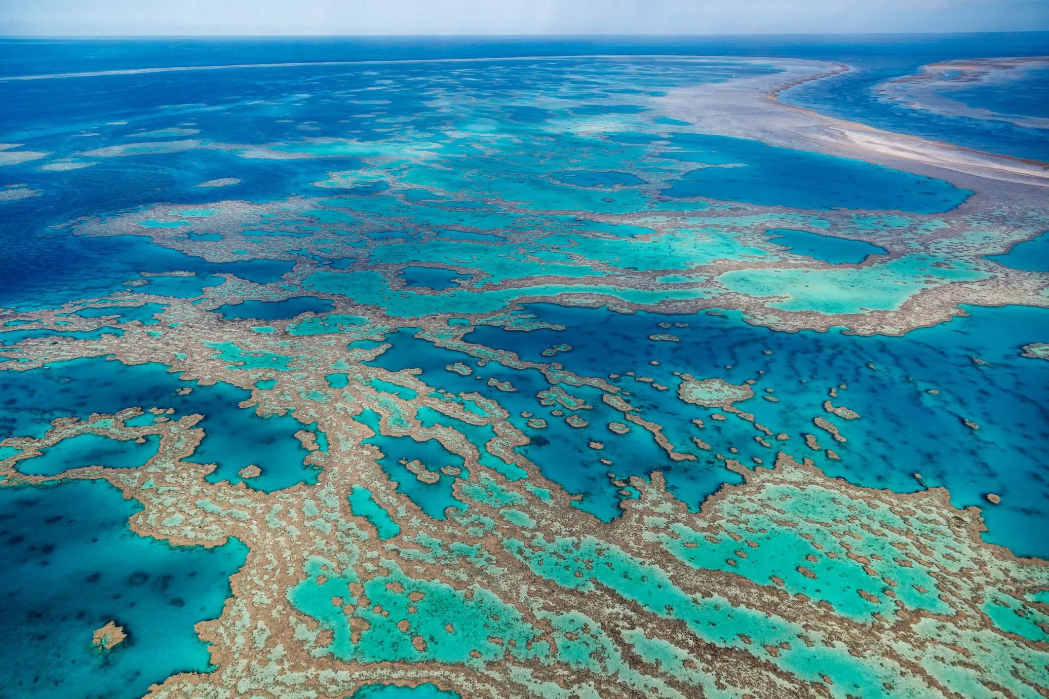 Great coral reef. Большой Барьерный риф. Барьерный риф в Австралии. Большой Барьерный риф Австралия из космоса. Коралловый Барьерный риф.