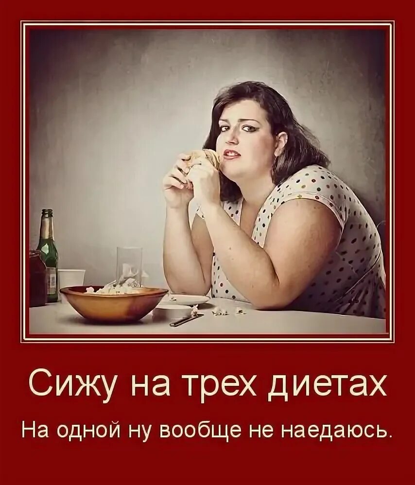 То что я сижу. Сидеть на диете. сижу на трех диетах одной. сижу на трех диетах одной не наедаюсь. сижу на двух диетах одной не наедаюсь.