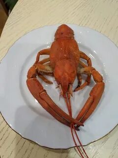 Раки рязань