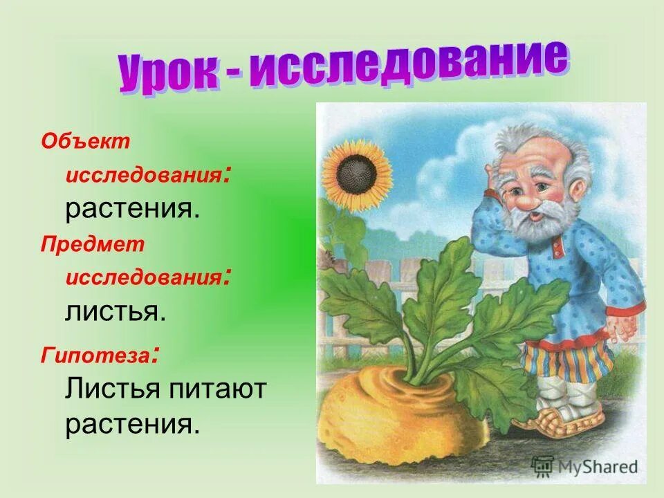 Листья гипотеза