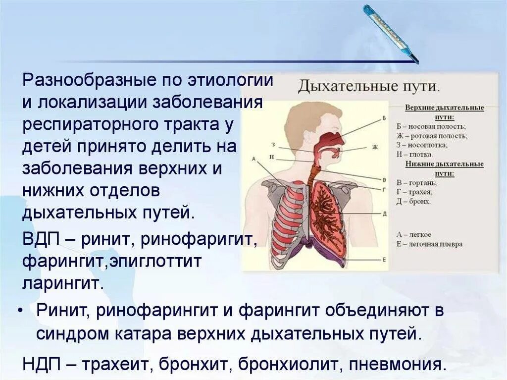 Тест заболевания верхних дыхательных путей. Воспаление верхних дыхательных путей. Воспалительные заболевания верхних дыхательных путей. Воспаление нижних дыхательных путей. Заболевания органов дыхания трахеит.