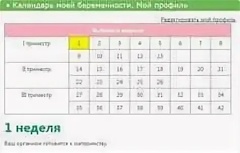 С какой недели начинается третий триместр