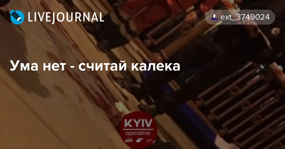 Ума нет считай калека картинки. Поговорка ума нет считай калека. Ума нет считай калека. Ума нет считай калека. Нет мозгов считай калека.