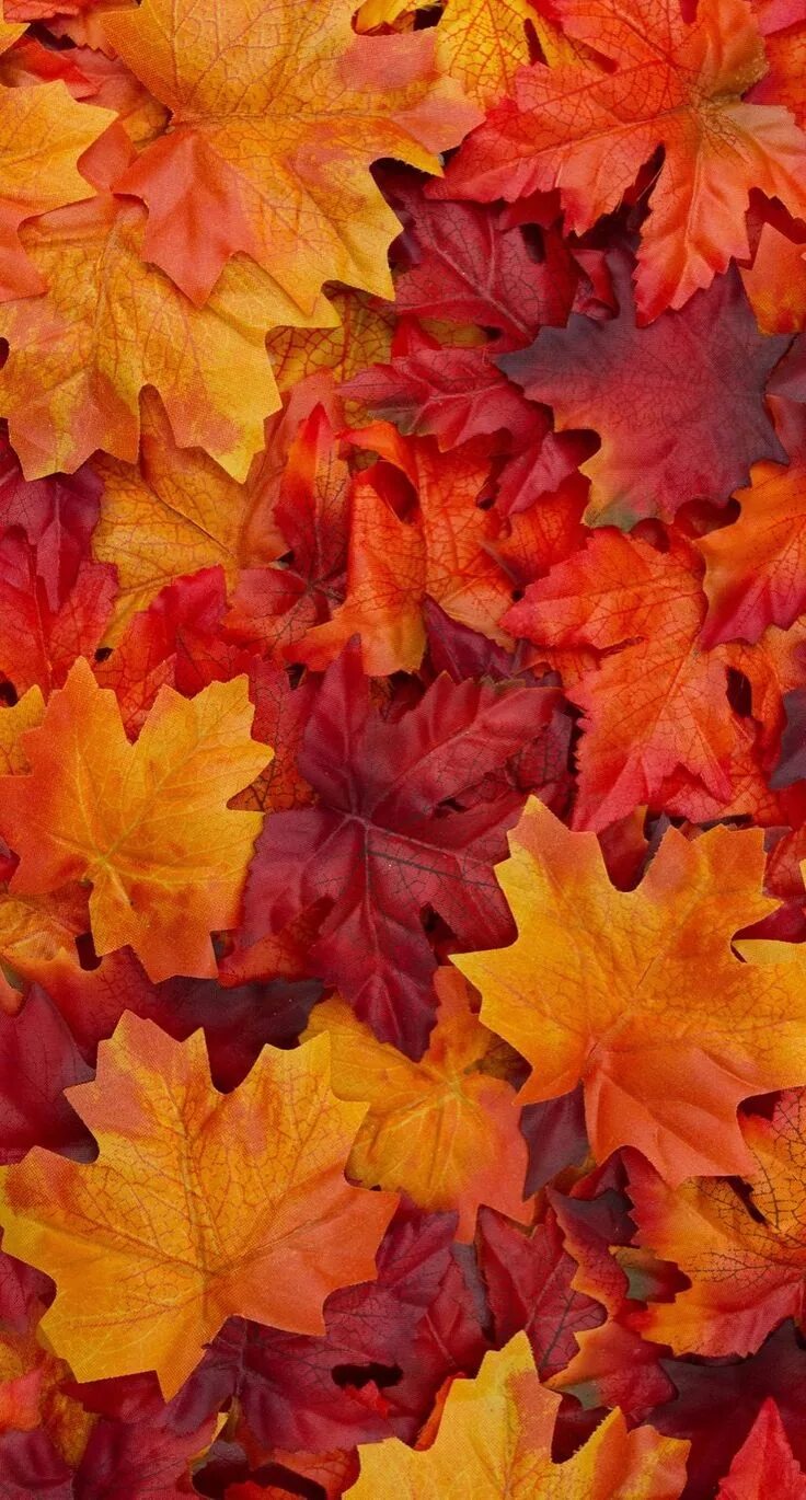 Acquista Diy Diamond Ricamo Diamond Painting Strass Ricamo Autunno Forest Leaves