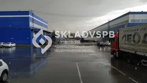 Верхний пер 5