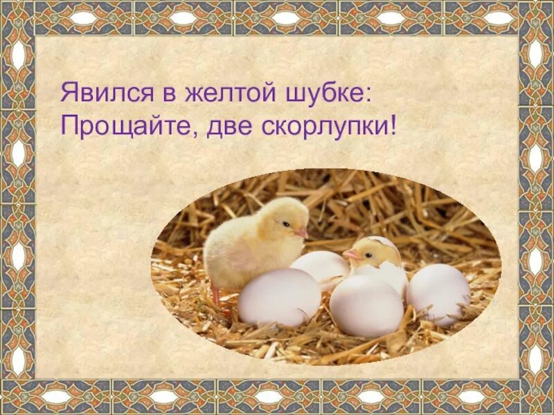 Явился в жёлтой шубке: -прощайте, две скорлупки! (цыпленок). Явился в желтой шубке прощайте две скорлупки. Явился в желтой шубке прощайте две скорлупки. Квохчет квохчет детей. Загадки о цыплёнке явился в жёлтой шубке.