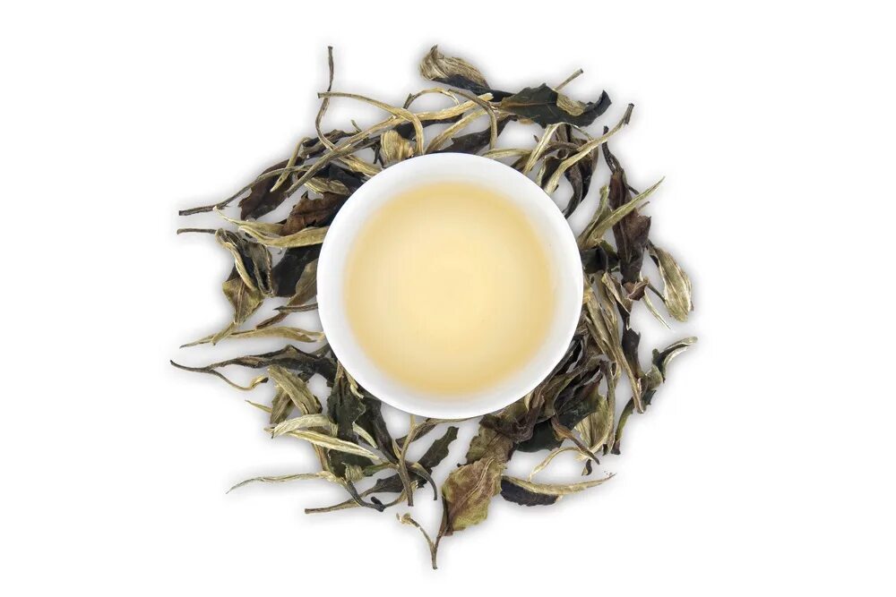 Белый лунный чай. Пуэр белый чай. Белый чай Юэ Гуан бай. Китайский белый чай пуэр. Шен пуэр лунный свет htti 100г.
