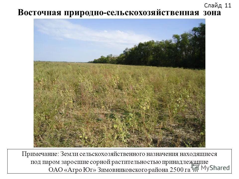 земли сельскохозяйственного назначения расположены. земли сельскохозяйственного назначения. земельные ресурсы архангельской области. характеристика земель сельскохозяйственного назначения. категории земель.