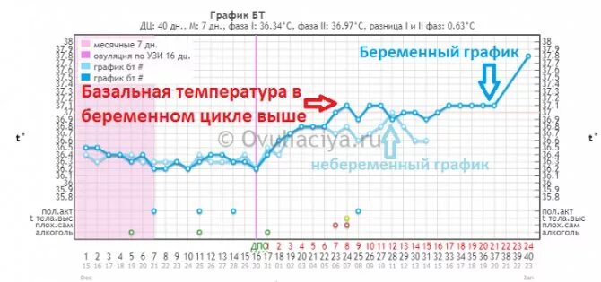 Измерение базальной температуры 2 фазы цикла. Беременный график базальной температуры до задержки , цикл 25 дней. График базальтовой температуры при беременности. График базальная температура при беременность 37. Как определить базальную температуру