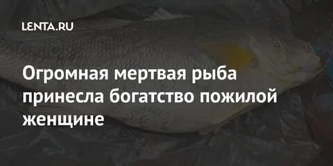 Сонник к чему снится мертвая рыба