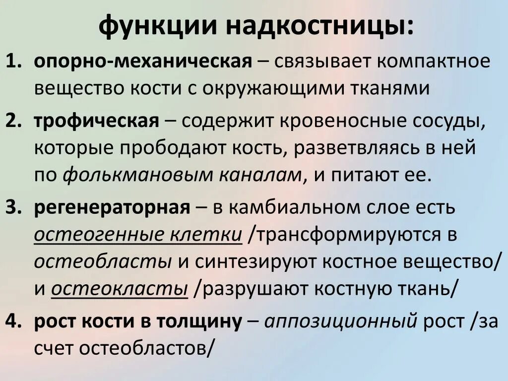 Трофическая функция кости