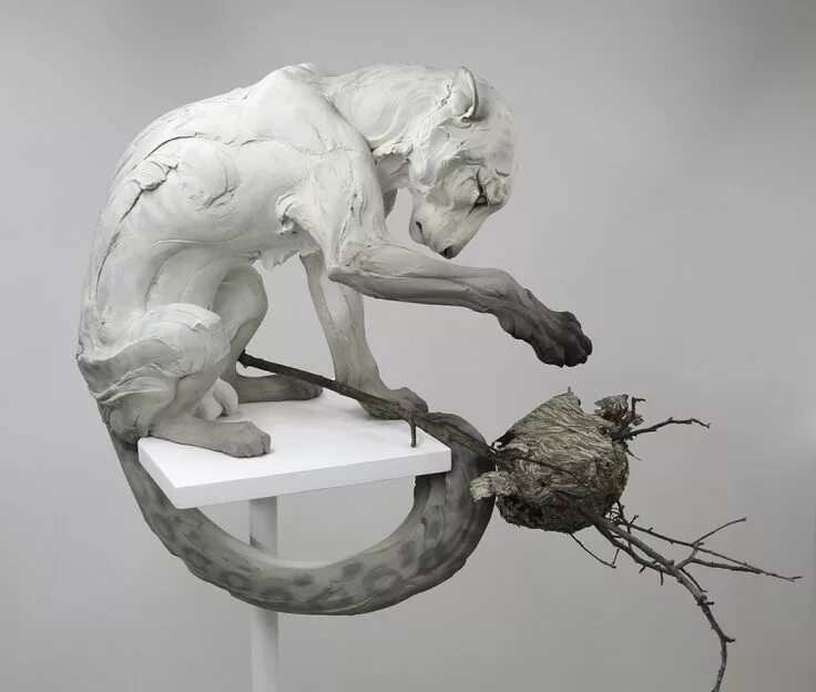Скульптуры животных beth cavener. Живот скульптура. Beth cavener stichter скульптор инстаграм. Скульптуры зверей. Скульптуры зверей.