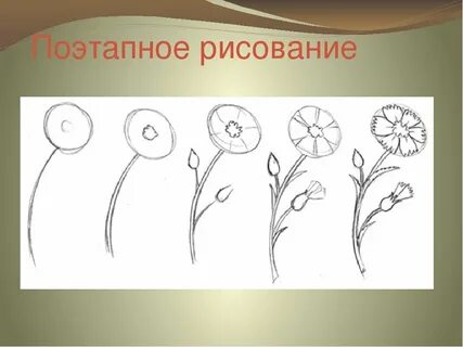 Рисуем в 1 классе на уроке