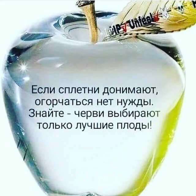 если сплетни донимают огорчаться нет нужды. если сплетни донимают огорчаться нет нужды картинка. нет нужды перечислять все. сплетни прикол. если черви донимают огорчаться нет нужды.