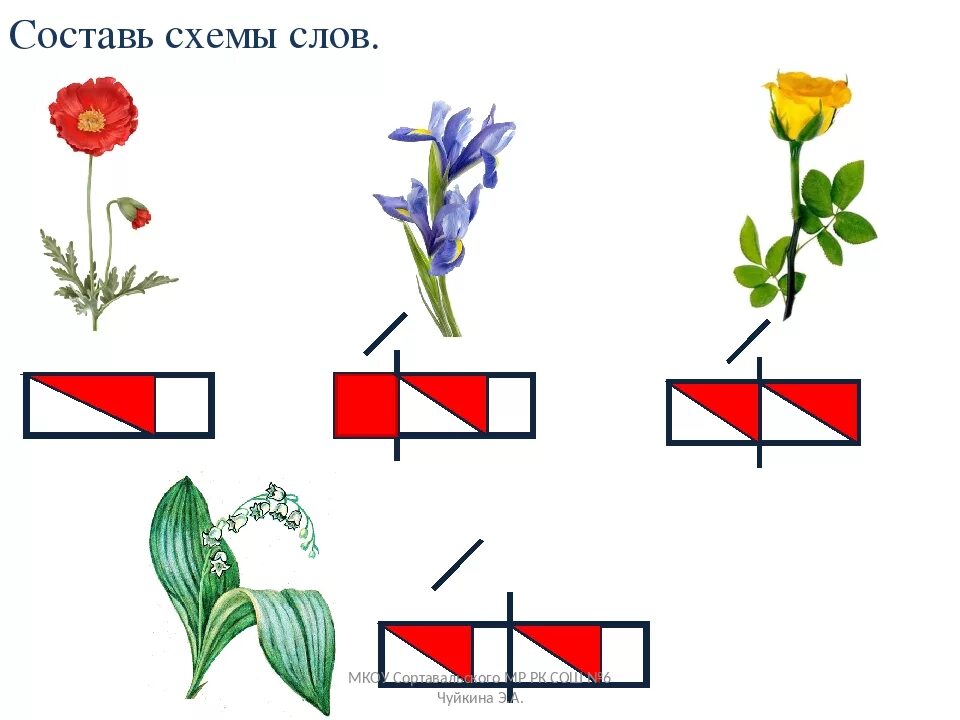 Анализ слова тюльпан