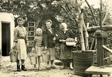 1960 деревня