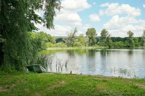 Участок у реки лес