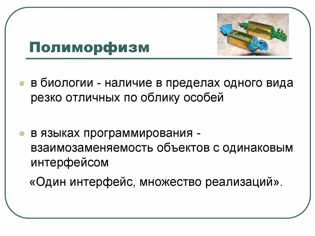 Можно ли назвать человека полиморфным