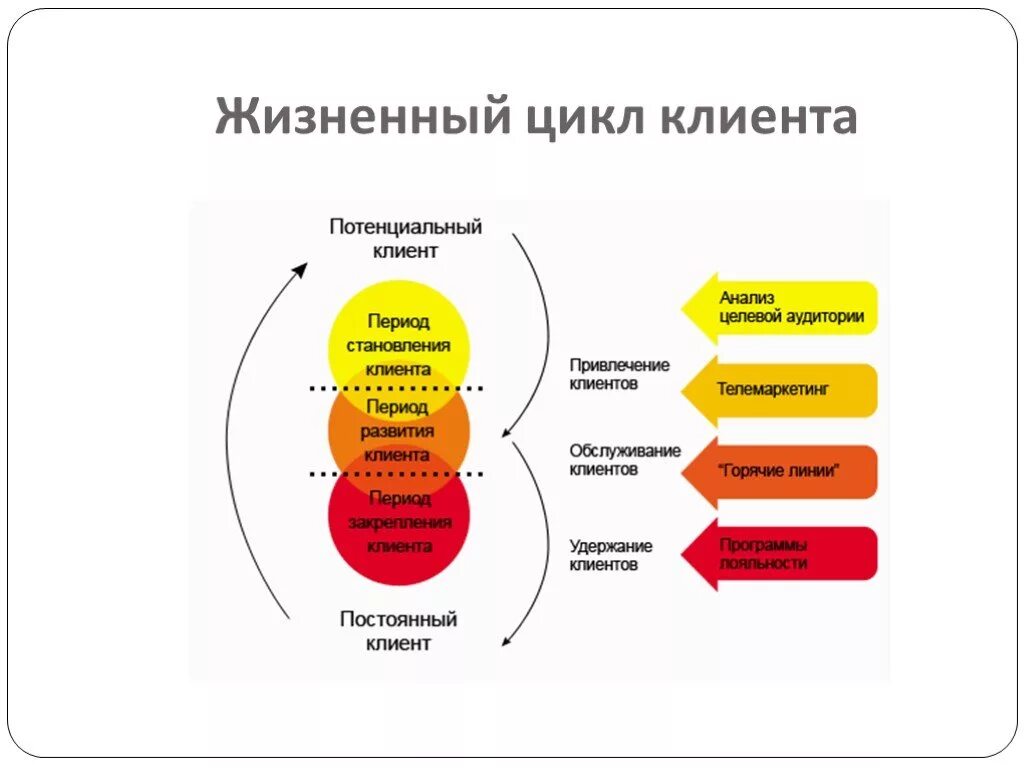 Для каждого клиента необходимых. Модель жизненного цикла клиента. Жизненный цикл клиента схема. Стадии жизненного цикла клиента. Жизненный цикл развития маркетинга взаимоотношений.