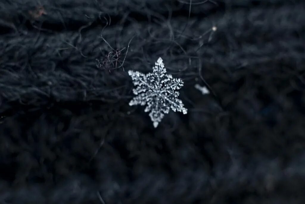 Снежинка на звонок. Alexey_kljatov. Фотосессия со снежинками. Снежинки снегопад. Снежинки.