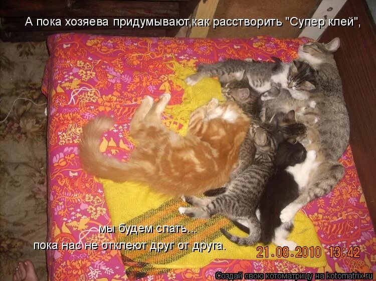 я в полном порядке.