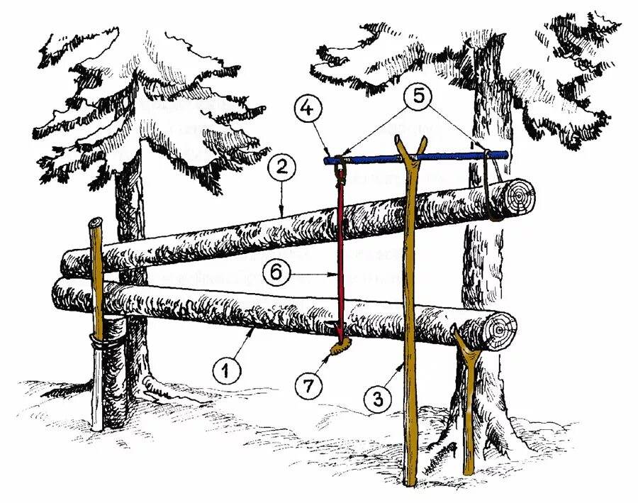 охота на соболя самоловами. капкан кулемка на куницу. верховая кулемка на соболя. кулемка на куницу. ловушка кулемка на соболя.