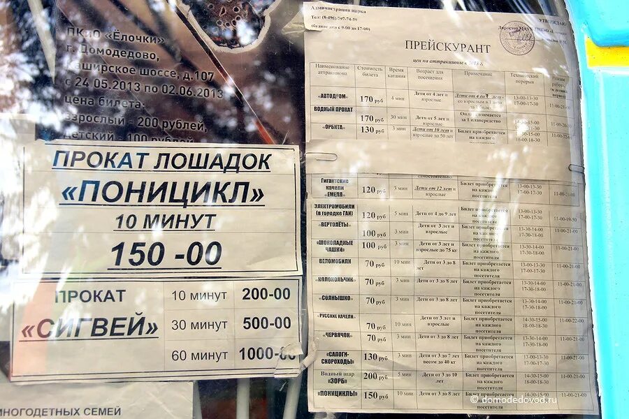 Отчет зажжение елки в дк. Катки. Парк елочки каток. Елка фанни парк тольятти. Елки парк ярославль.