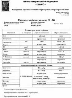 Через сколько выходит анализ мочи