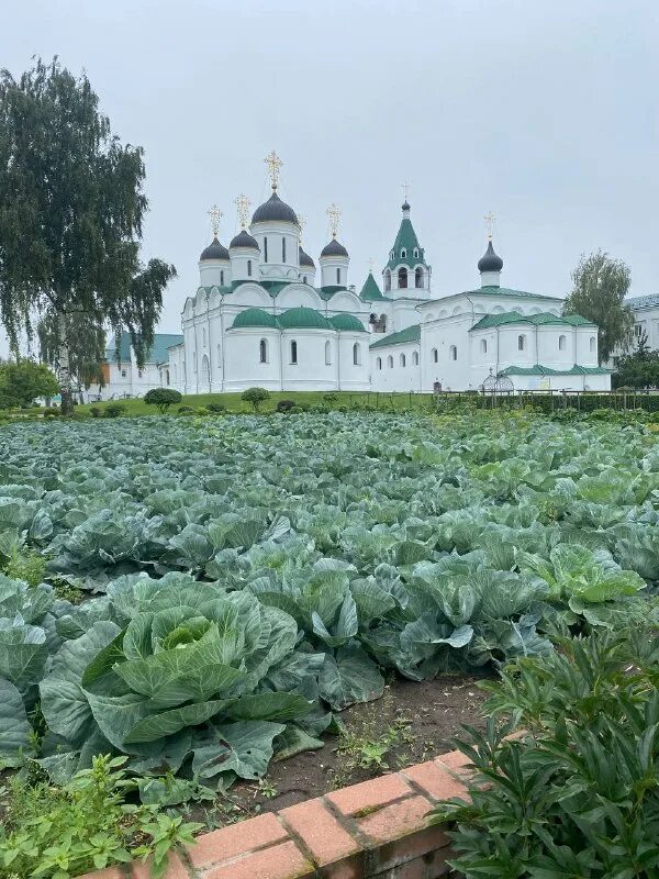 Муромский спасо-преображенский мужской монастырь, муром. Главная достопримечательность города мурома. Муром мир. Детский мир детский мир детский мир. Муром мир.
