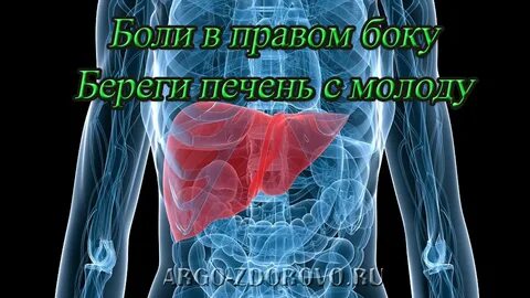 Куда отдает печень если болит