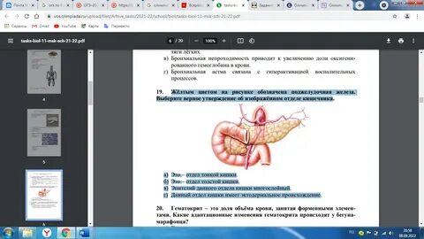 Какой из приведенных органов
