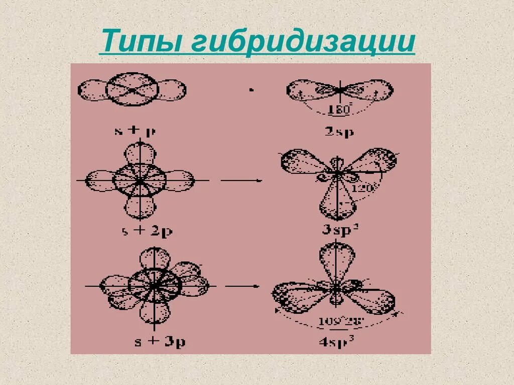 Явление гибридизации. Chcl3 Тип гибридизации. Состояние гибридизации атомов углерода. SP гибридизация атомных орбиталей. Типы гибридизации орбиталей.