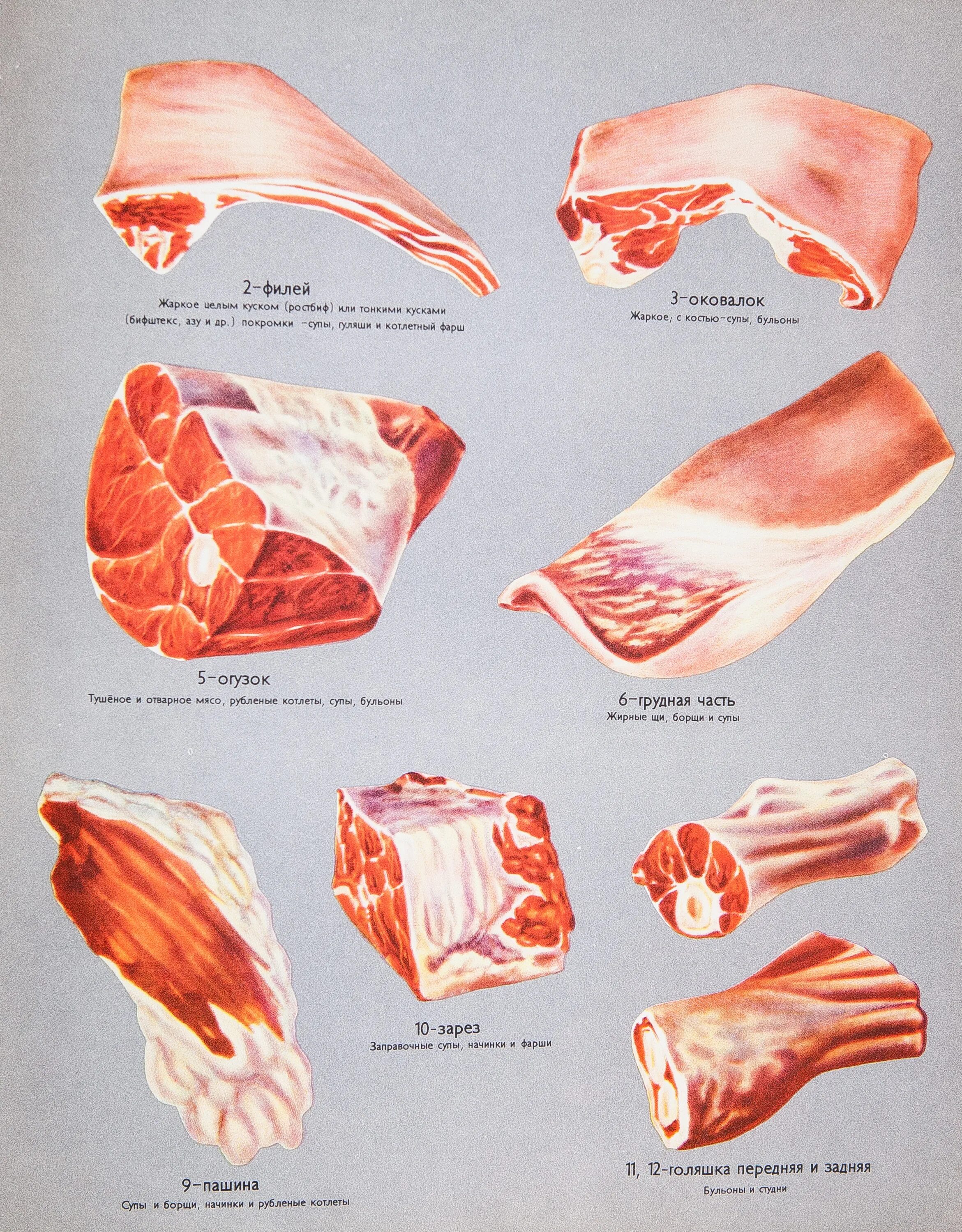 Части мяса. Части говядины. Части мяса свинины. Части мяса свинины на кости.