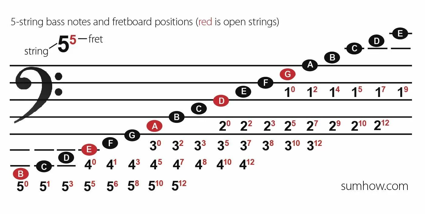 Bass notes