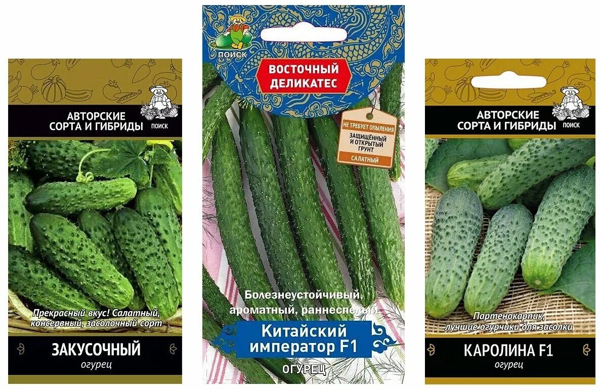 китайский император f1. огурец китайский император. огурец китайский император. сад). огурец китайский император.