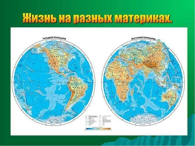 Океаны расположенные в одном полушарии. Карта полушарий земли. Западное и Восточное полушарие земли. Карта полкш. Физическая карта полушарий.