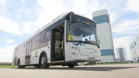 Bus автобус vdr воронеж