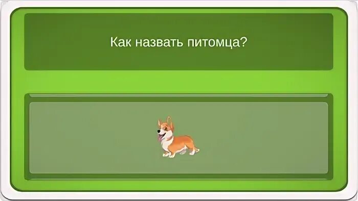 Как назвать питомца