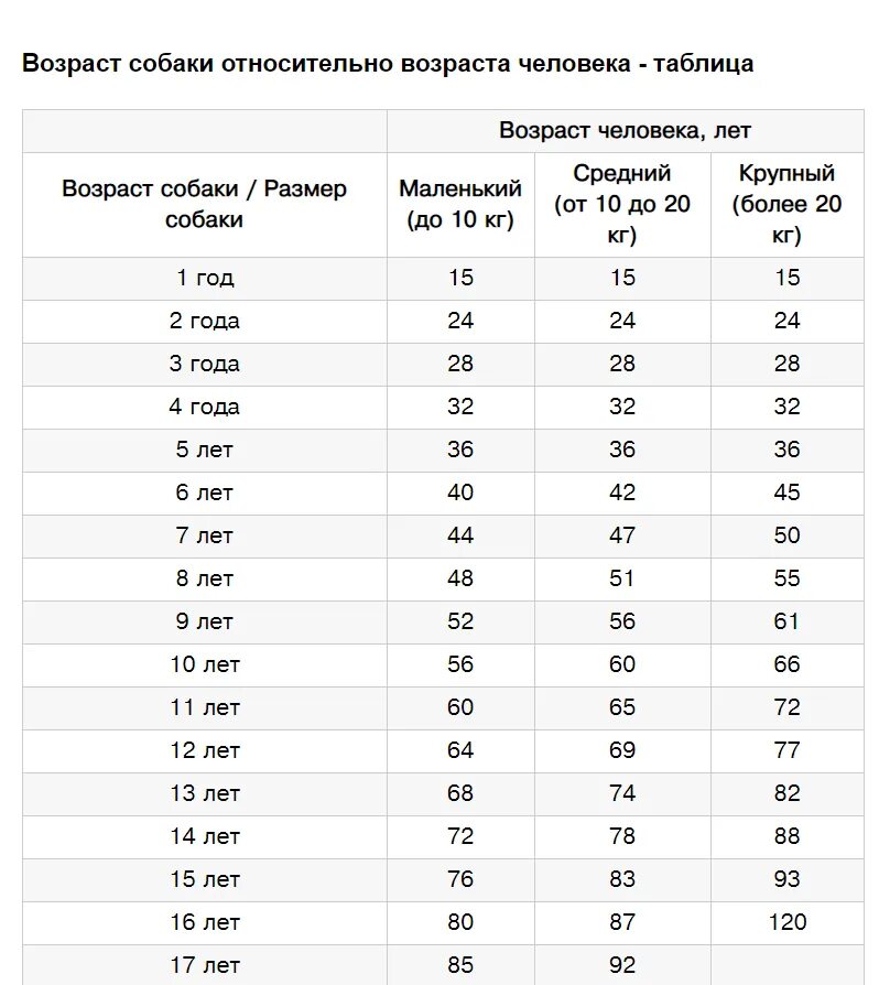 Расчет года по возрасту. Собачий Возраст по человеческим меркам таблица. Соотношение лет собаки и человека таблица. Соответствие возраста собаки и человека таблица для средних пород. Возраст собак на человеческий Возраст таблица.