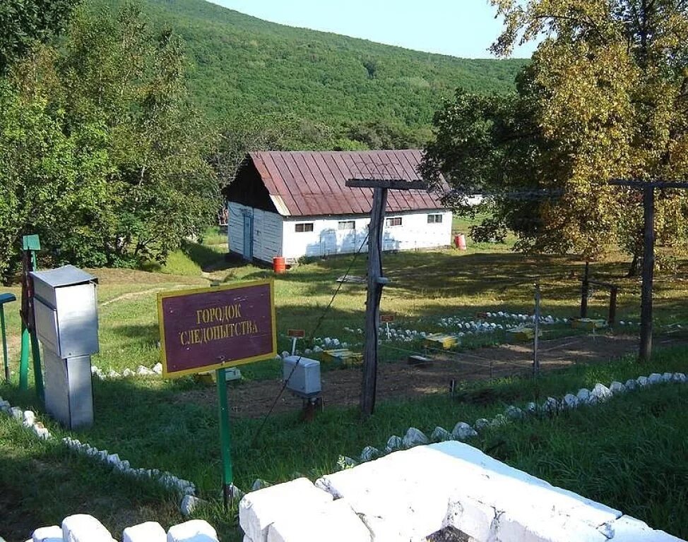 Село пограничный приморский край. Приморский край погран заставы. Поселок пограничный Приморский край. Пограничные заставы Приморского края. Поселок светлая Приморский край Пограничная застава.