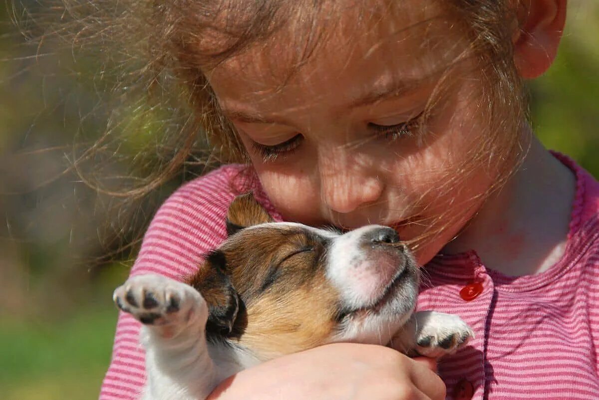 Любовь к животным. Дети и животные доброта. Любовь детей и животных. Для детей. Животные. Сочувствие животным